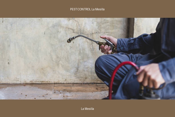 PEST CONTROL La Mesilla
